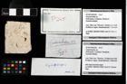 Foto (Objekt + Etikett) von Cycloprosopon sp.  (NHMW-GEO-2014-0194-0245)